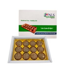 NLS Sweet – Laddoo ( 500 GM )