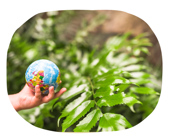 Health Knowledge based on the Laws of nature