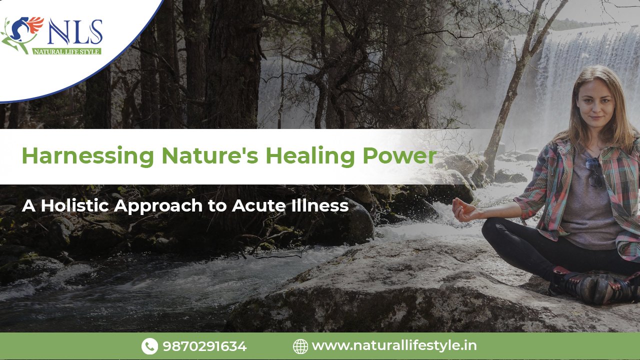 Harnessing Natures Healing Power A Holistic Approach to Acute Illness 1
