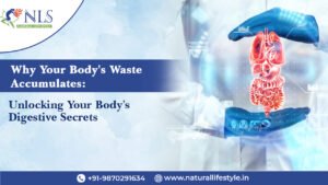Why Your Body's Waste Accumulates: Unlocking Your Body's Digestive Secrets